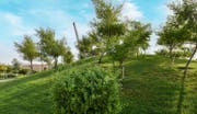 古兰植物园 (Qur'anic Botanic Garden)