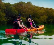 Mangroves Kayaking at Purple Island
