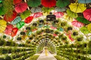 弗朗茨·韦斯特的《Gekröse》 