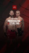 UFC 格斗之夜多哈站