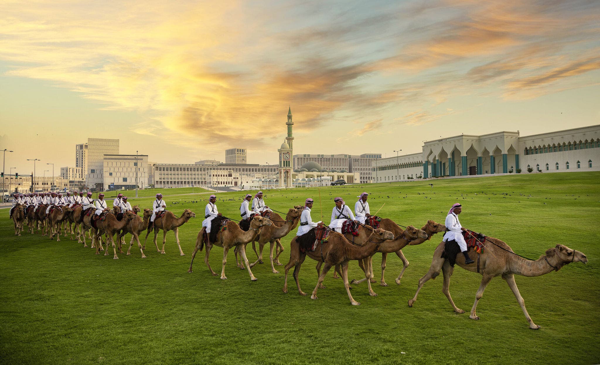 阿米里·迪万公园 (Amiri Diwan Park) 的骆驼表演