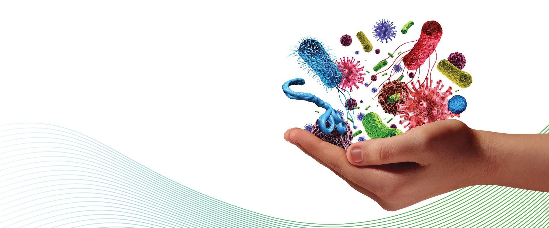 MENA Microbiome Conference 2026