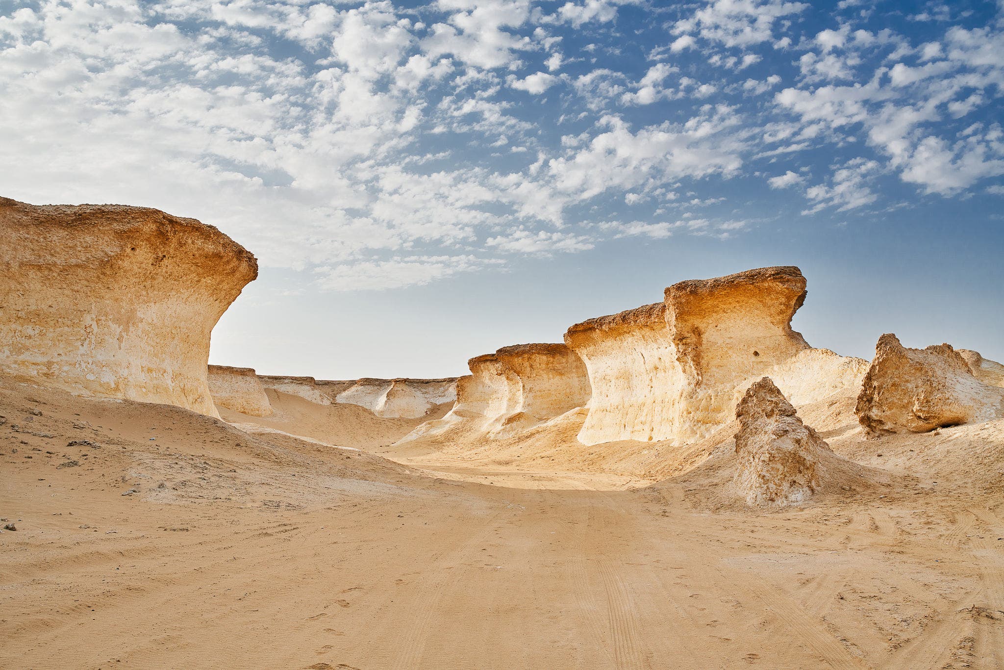 艾利姆生物圈保护区 (Al Reem Biosphere Reserve) 