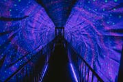 幻象博物馆 (Museum of Illusions)